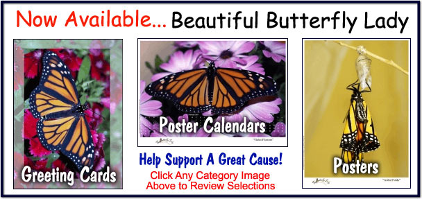 Butterfly Lady Greeting Cards Calendars Posters